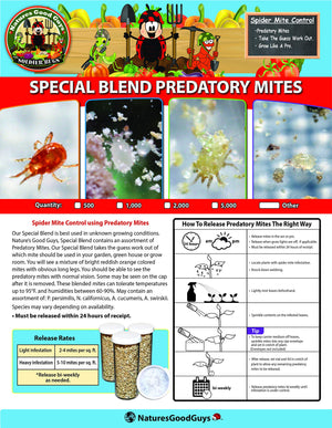 2,000 Live Adult Predatory Mites - A Mix of Predatory Mite Speciesl - Ships Next Business Day!l